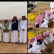 تنمية الشملي تشارك في حملة تشجير بالمحافظة